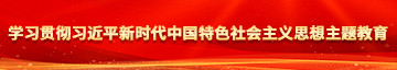 大鸡把操逼无码视频免费看学习贯彻习近平新时代中国特色社会主义思想主题教育